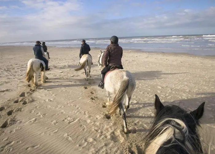 Maison Indépendante De Hardelot Hébergement de vacances *